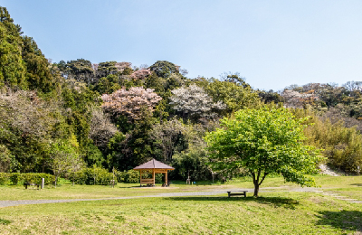 南郷上ノ山公園