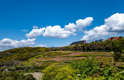 湘南国際村